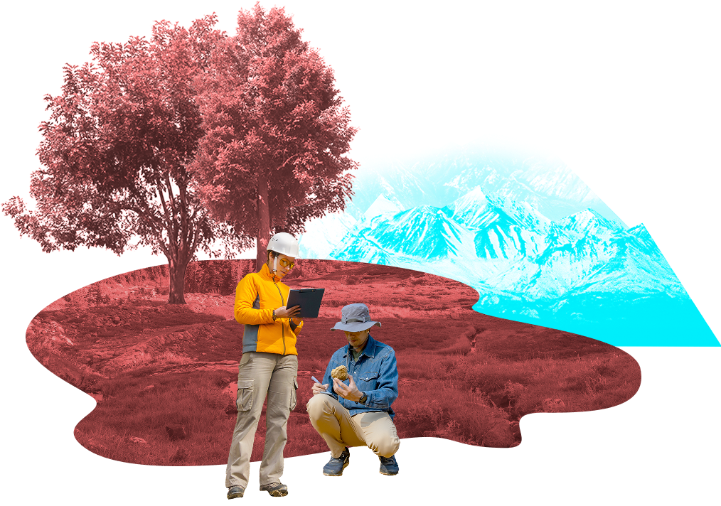 Terrain